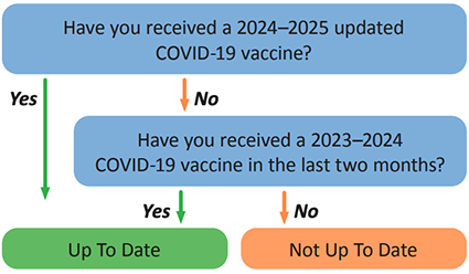 Vaccine Flow Chart