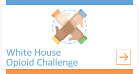 White House Challenge